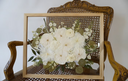 Pressed flower frames
