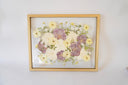 16x20 Floating Pressed Frame image 12