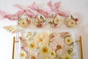Ornament - BUNDLE (6) image 8
