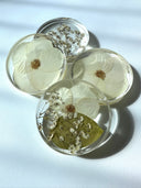 Add-On - Set of Coasters (4) image 7